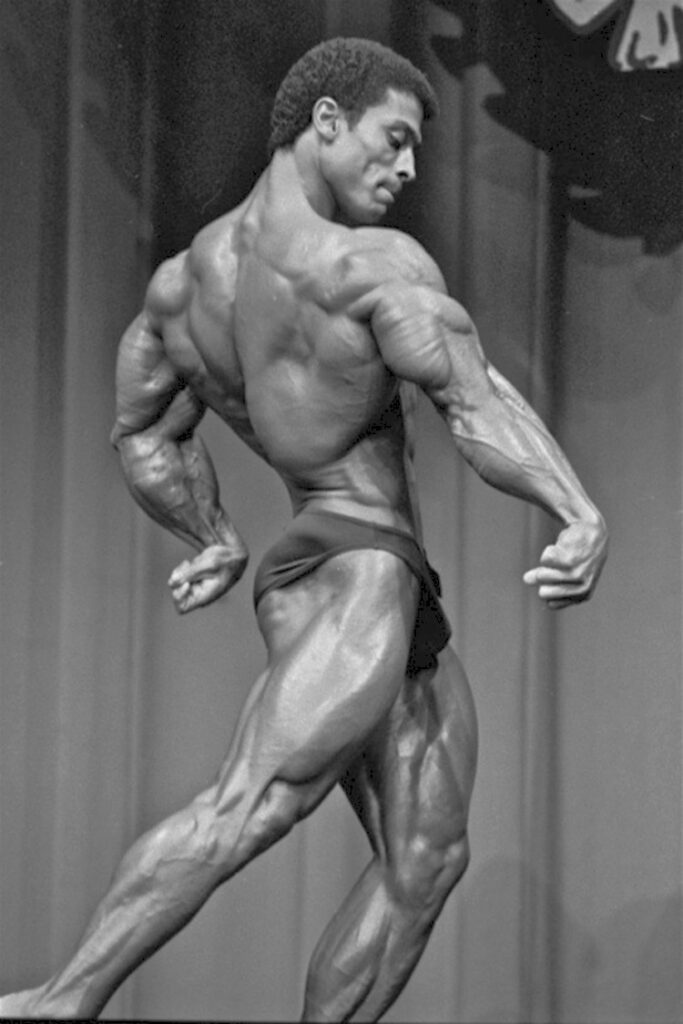 Mohamed Makkawy - Gallery Image