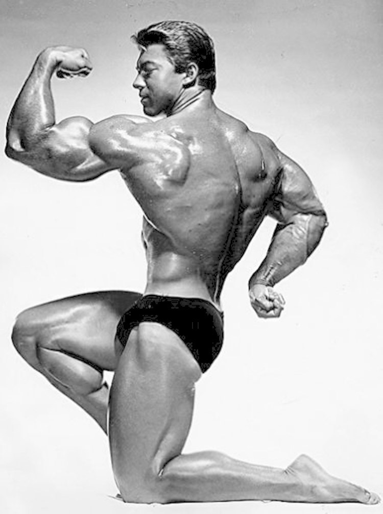 Larry Scott - Bodybuilder Profile