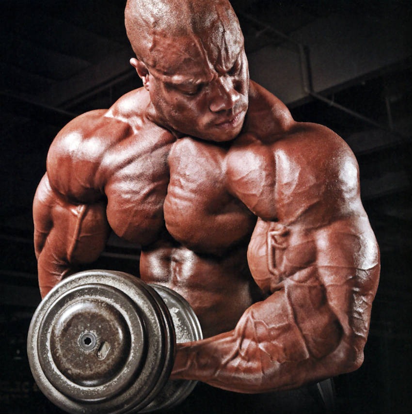 imgi_6_Phil-Heath-5