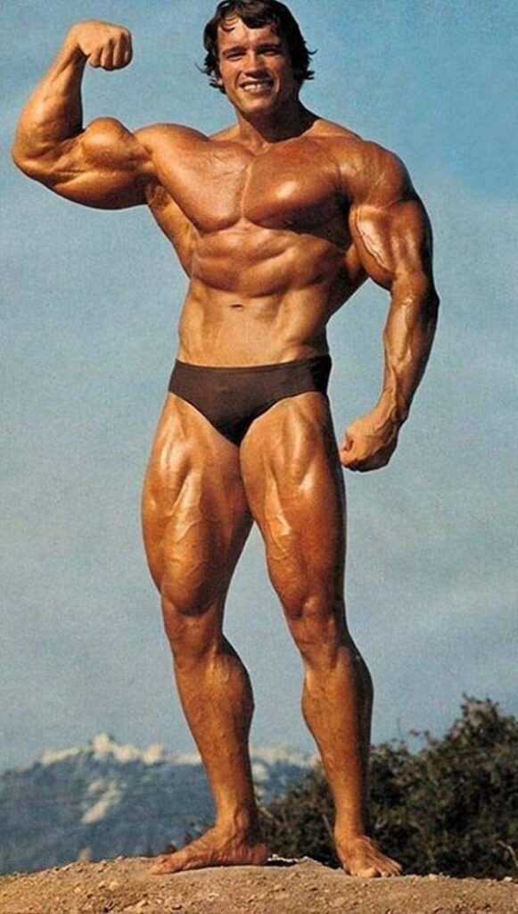Arnold Schwarzenegger - Gallery Image
